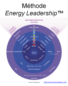 methode energy leadership
