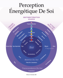 Energie leadership chart